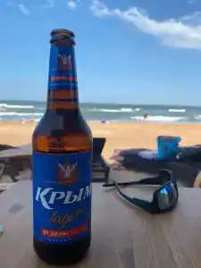 Замок грез - 31