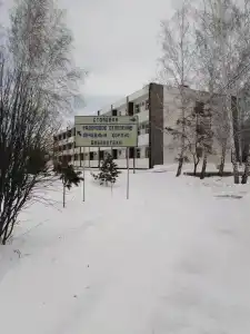 Лесное озеро - 37