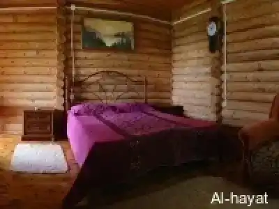 Гостевой дом "Незабываемый отдых в Срубе" - 47