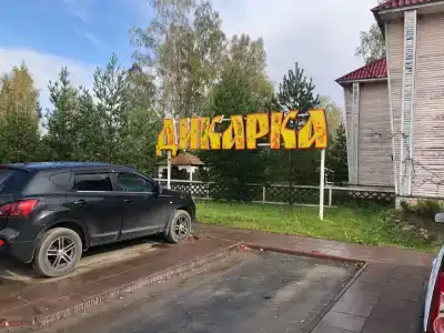 Дикарка - 7