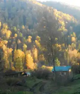 Эдем - 1