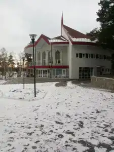 Аленушка - 85