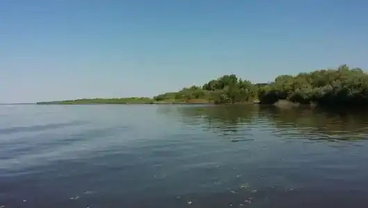 Волга-Волга - 21