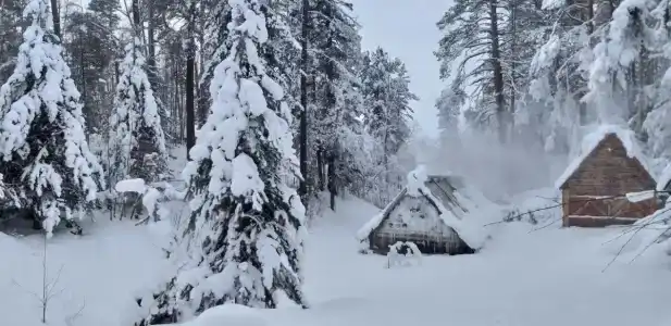Усадьба Добрыня - 43