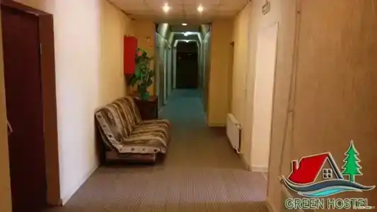 Зеленый бор - 12
