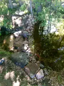 Лявониха - 17