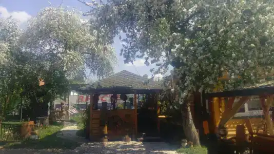 Лявониха - 1