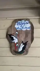 Гнездо аиста - 0
