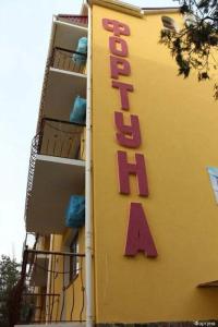 Фортуна - 4