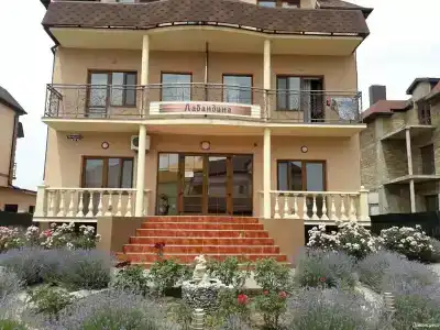 Лавандина - 31
