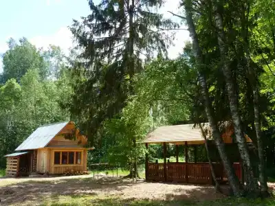 в лесу - 3