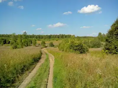 Емельяново - 89