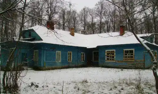 Усадьба в Тёсово - 28