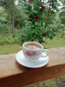 Избушка на опушке - 55