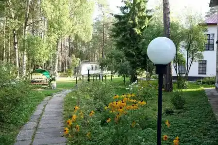 Трест грии - 1