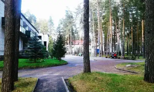 Русский лес - 30