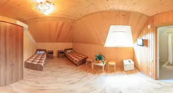 Виолетта - 29