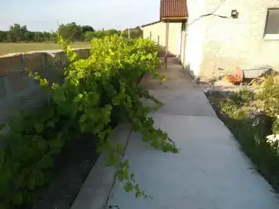 Уютный уголок Тарханкута - 7