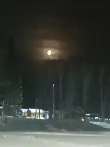 Янов хутор - 21