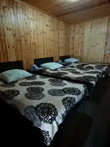 Горная Панорама - 31
