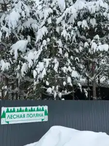 Лесная поляна - 3
