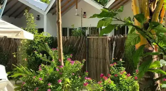 Palm Garden - 21
