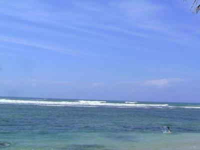 Polhena Sea View - 41