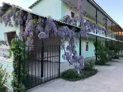 Кипарис - 16