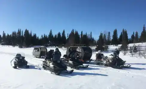 Медвежий угол - 17