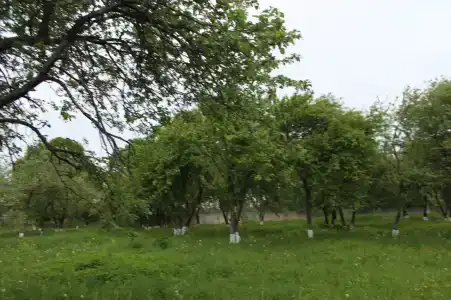 НовГУ - 27