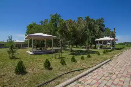 Райский Сад - 28
