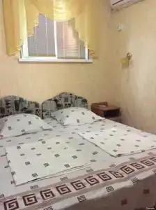 У Светланы - 31