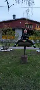 Аврора - 22