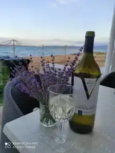 Островок - 47