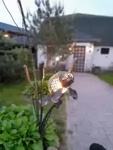 Мир Маяков - 55