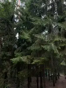 Залив - 39