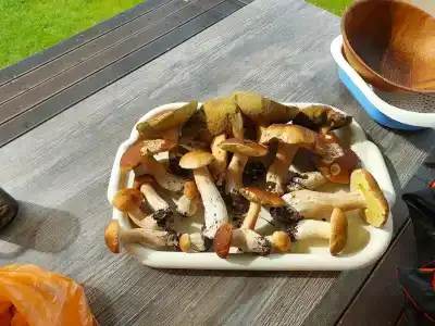 Дом в Карелии с видом на Ладогу - 98