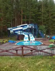 Сова - 30