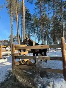 Гостевой дом - 4