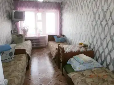 Фиалка - 5