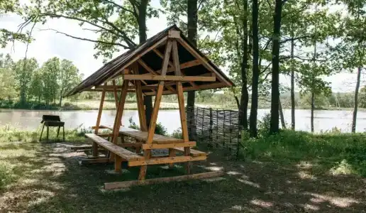 Вольный - 25