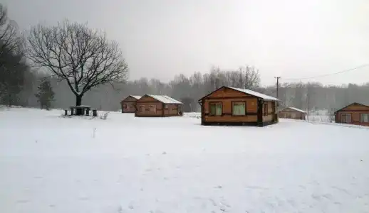 Вольный - 1