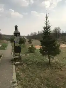 Лежневская лагуна - 57