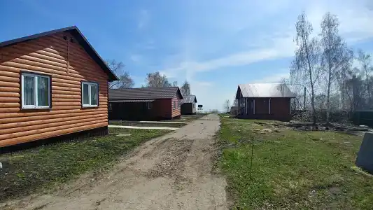 Чайка - 4