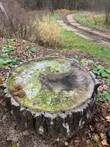 Хатунь - Звездочка - 17