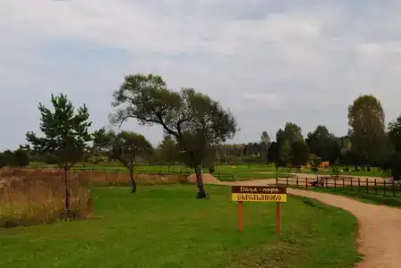 Емельяново - 70