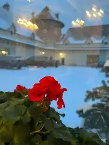 Замок La Ferme de Reve - 63