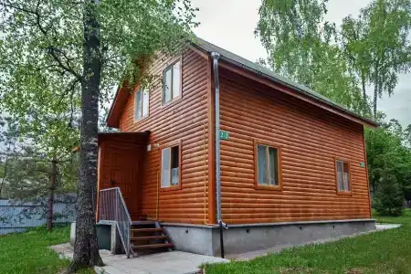Березовая роща - 8