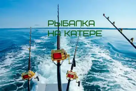 Бриз - 38