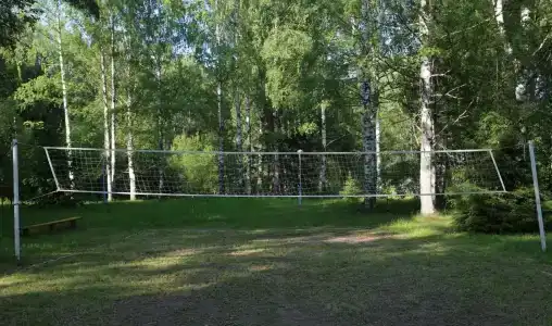Подсолнухи - 19